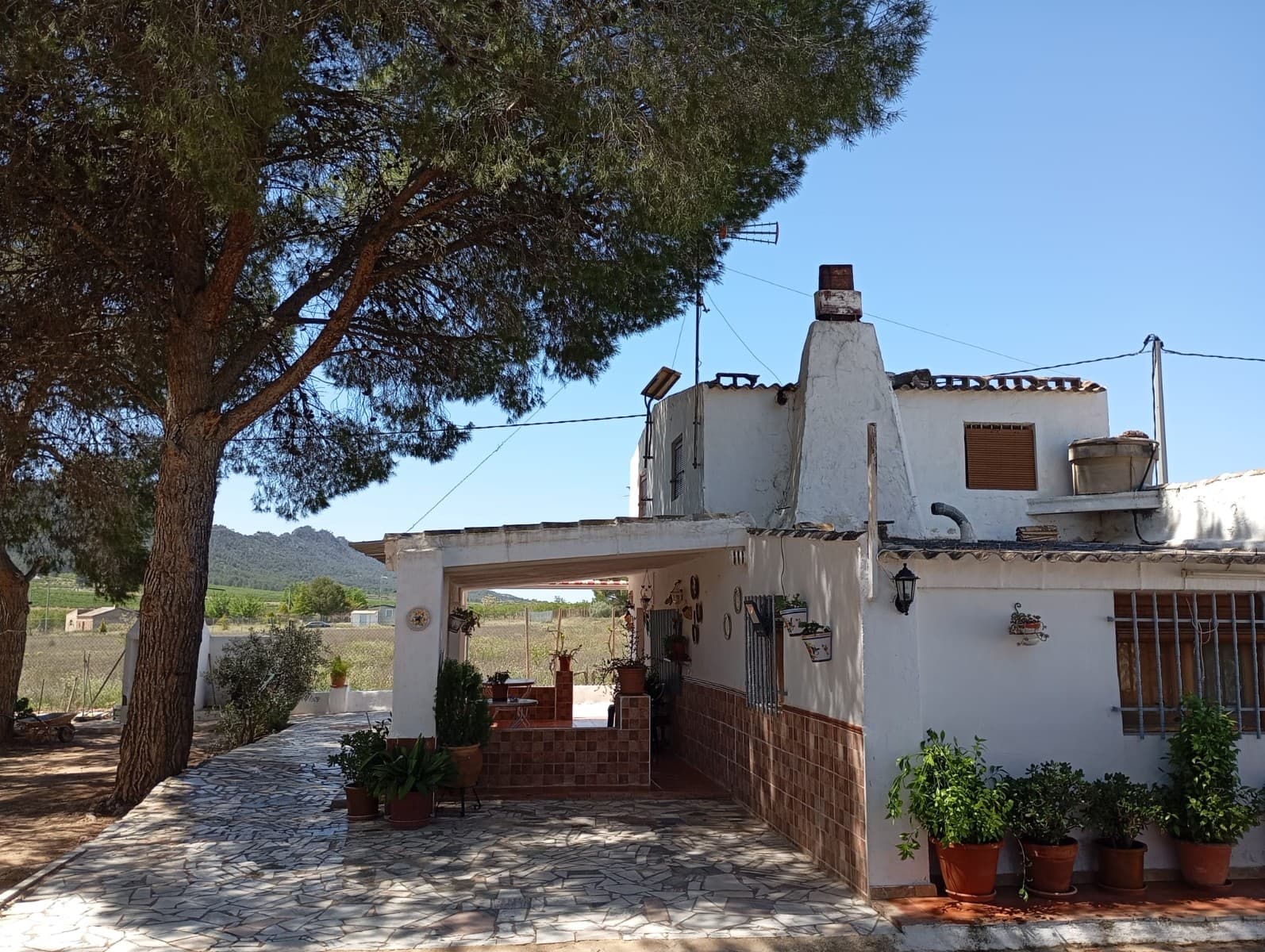 A spacious two-story house of 230 m², ideal for a countryside family living or an affordable retreat with potential. The ground floor offers a bright living-dining area, a fully functional kitchen with pantry, a master bedroom, an additional smaller bedroom, a bathroom, and a traditional fireplace.Upstairs, the property features three well-sized bedrooms and access to a porch, providing pleasant outdoor space. The home also includes a versatile 60 m² bodega that can be used as a garage or converted into additional living space, along with a separate 15 m² garage.Set on a 3900 m² plot, the property includes 1,100 m² of fenced land, with the remaining area dedicated to olive grove. Additional features include a small swimming pool, and connection to mains irrigation water and electricity. Located just 7 km from Yecla, this property combines rural charm with convenient access to town amenities.About the area: Yecla is a charming and historic town of app. 35000 inhabitants, located in the region of Murcia. It is renowned for its award-winning wines, historical landmarks, and vibrant local culture. The surrounding natural landscapes of scenic mountains, vineyards and almond groves provide opportunities for outdoor activities, while the town itself offers all necessary services, including hospital, schools, shops, restaurants, and other services. With a friendly local community, lively markets, excellent gastronomy, and easy access to nature, Yecla is an ideal location for those seeking authentic Spanish lifestyle - just about an hour from the coast and Alicante airport.About us: We have a large portfolio of properties in the Costa Blanca and Costa Calida areas, specialising in country properties, villas, fincas, building plots and design and build options in the Alicante and Murcia regions with a particular emphasis on Yecla, Novelda, Elda, Monovar, Pinoso, Sax, Villena, Aspe, Fortuna, Jumilla, Abanilla, and many more surrounding areas. We have been established since 2004 and have decades of experience between the team which we bring to bear to help you find and secure your new dream home. We help you every step of the way to make sure your purchase in Spain is safe and hassle free. We are not here to sell you a property, we are here to help you realise your dream and find what is right for you. With us you are in the safest hands. Contact us now to have a no obligation chat about how you too can realise your dreams.