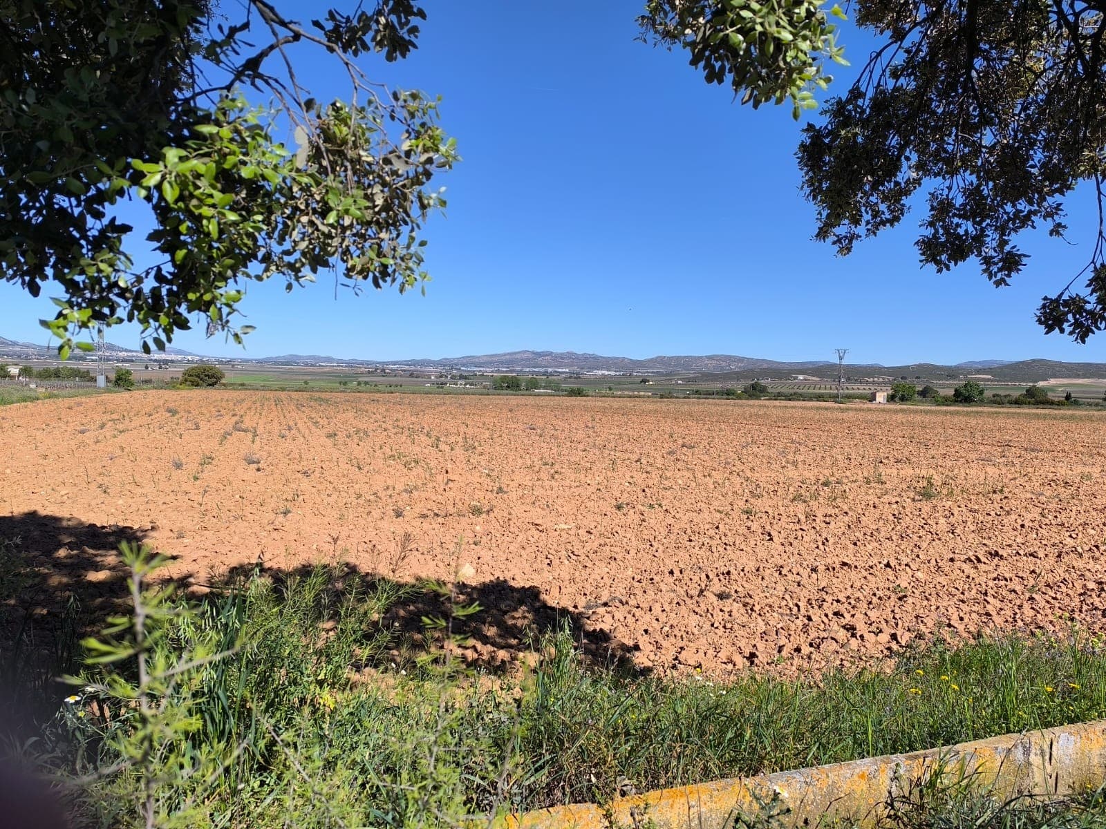Agricultural & Building land near Yecla. Used for growing cereals, this currently fallow land has an irrigation water connection, and water rights. Located next to a small hamlet, it has a good access, electric connection is near. The terrain is mostly flat. You can build up to 5% of the land size, certificate of construction comes with the plot and is a condition of purchase.We can help you with the building design and connect you with architects, builders, solar panels company etc. If you liked this property, do not hesitate to contact us to organize a visit.Distances:Tarmac road, electric posts - 50 mYecla (the closest town with markets, schools, clinics, vet, gyms, etc.) - 10 kmElche (the closest city) - 50 minAlicante airport - 60 minBeach - 62 minAbout the area: Yecla is a charming and historic town of app. 35000 inhabitants, located in the region of Murcia. It is renowned for its award-winning wines, historical landmarks, and vibrant local culture. The surrounding natural landscapes of scenic mountains, vineyards and almond groves provide opportunities for outdoor activities, while the town itself offers all necessary services, including hospital, schools, shops, restaurants, and other services. With a friendly local community, lively markets, excellent gastronomy, and easy access to nature, Yecla is an ideal location for those seeking authentic Spanish lifestyle - just about an hour from the coast and Alicante airport.About us: We have a large portfolio of properties in the Costa Blanca and Costa Calida areas, specialising in country properties, villas, fincas, building plots and design and build options in the Alicante and Murcia regions with a particular emphasis on Yecla, Novelda, Elda, Monovar, Pinoso, Sax, Villena, Aspe, Fortuna, Jumilla, Abanilla, and many more surrounding areas. We have been established since 2004 and have decades of experience between the team which we bring to bear to help you find and secure your new dream home. We help you every step of the way to make sure your purchase in Spain is safe and hassle free. We are not here to sell you a property, we are here to help you realise your dream and find what is right for you. With us you are in the safest hands. Contact us now to have a no obligation chat about how you too can realise your dreams.